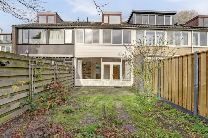 Photo 29 of Scorpius 14