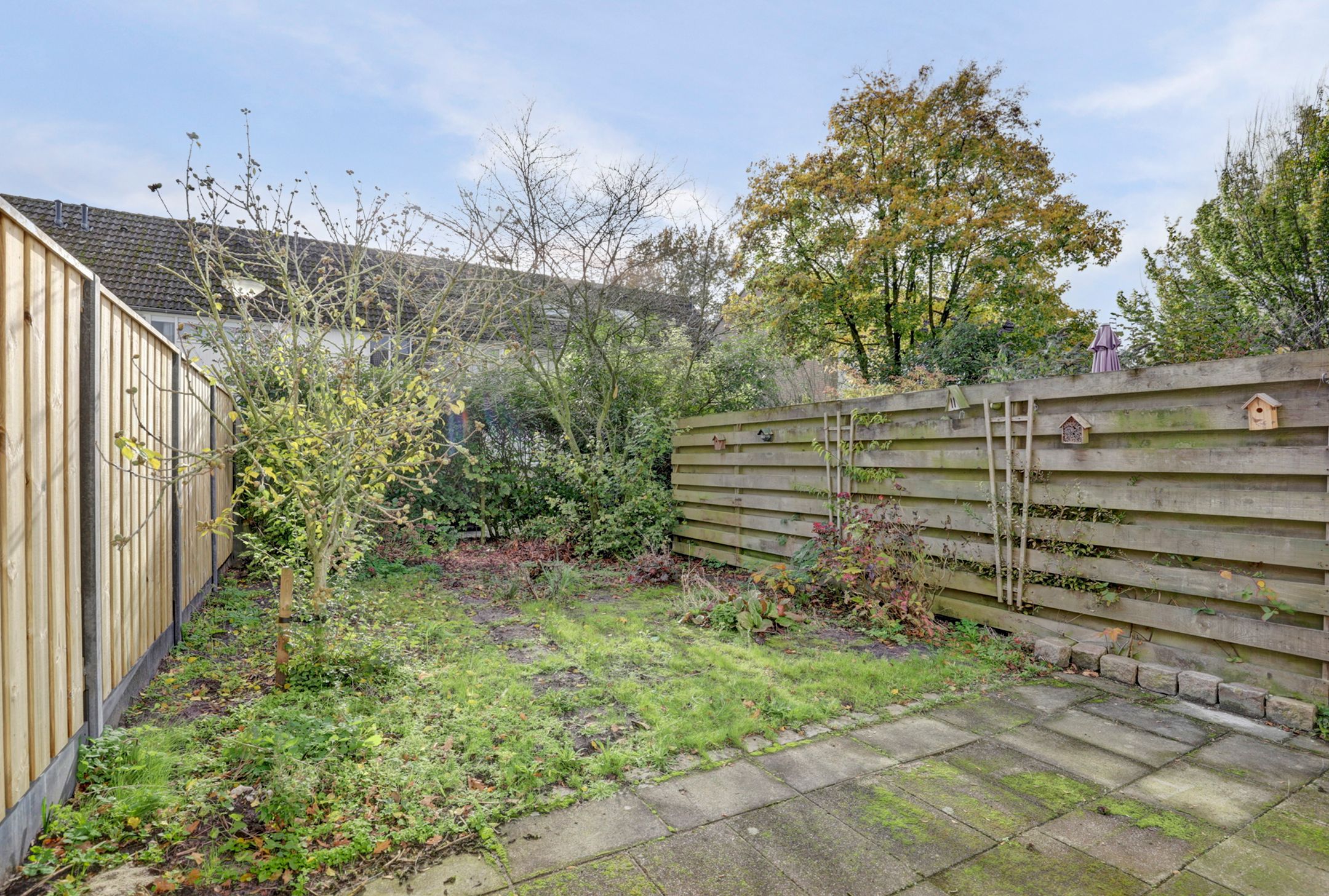 Foto 30 van Scorpius 14