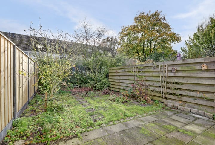 Photo 30 of Scorpius 14