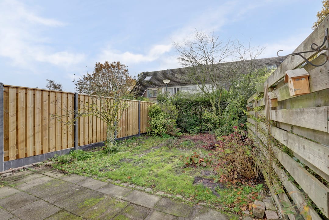 Foto 31 van Scorpius 14