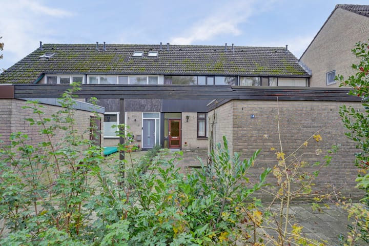 Photo 32 of Scorpius 14