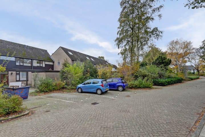 Photo 34 of Scorpius 14