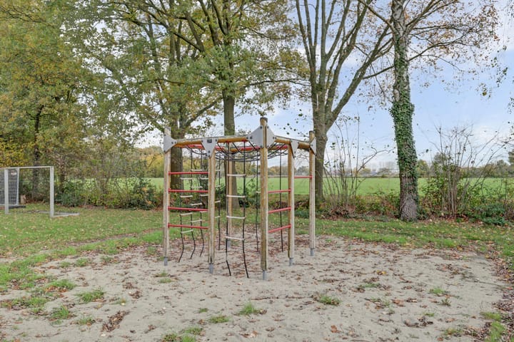 Photo 35 of Scorpius 14