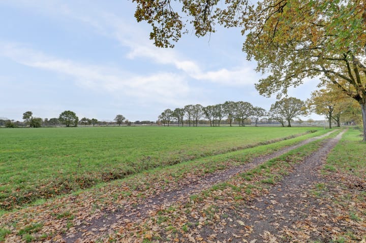 Photo 36 of Scorpius 14