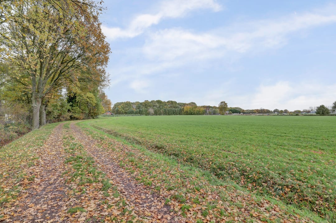 Foto 37 van Scorpius 14