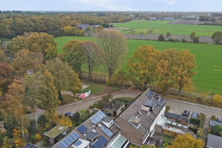 Photo 38 of Scorpius 14