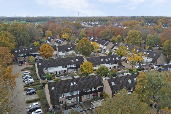 Photo 39 of Scorpius 14