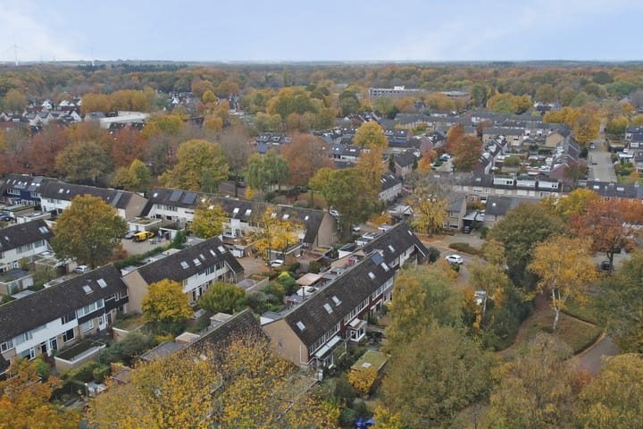 Photo 40 of Scorpius 14