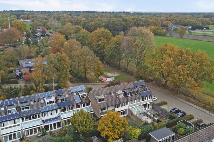 Photo 42 of Scorpius 14