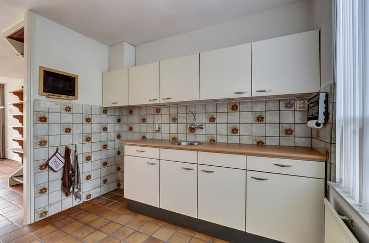 Photo 8 of Scorpius 14