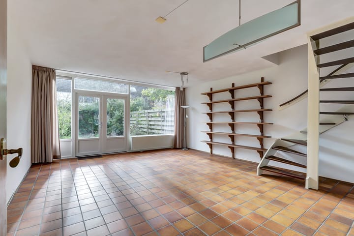 Photo 10 of Scorpius 14