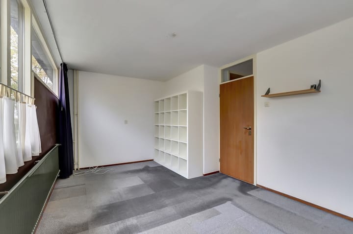 Photo 15 of Scorpius 14