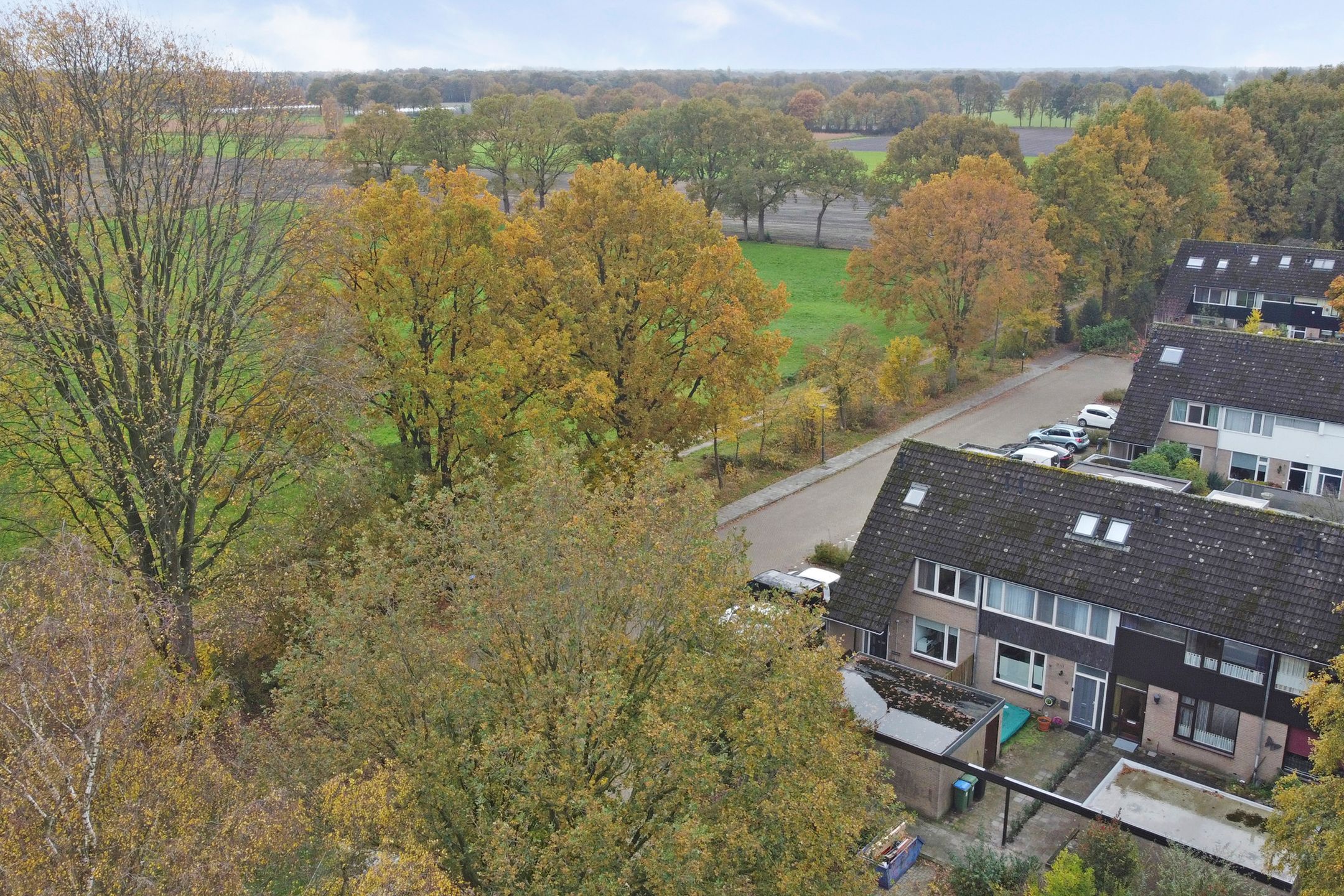 Foto 3 van Scorpius 14