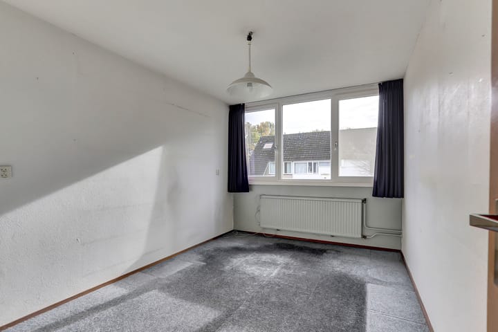 Photo 19 of Scorpius 14