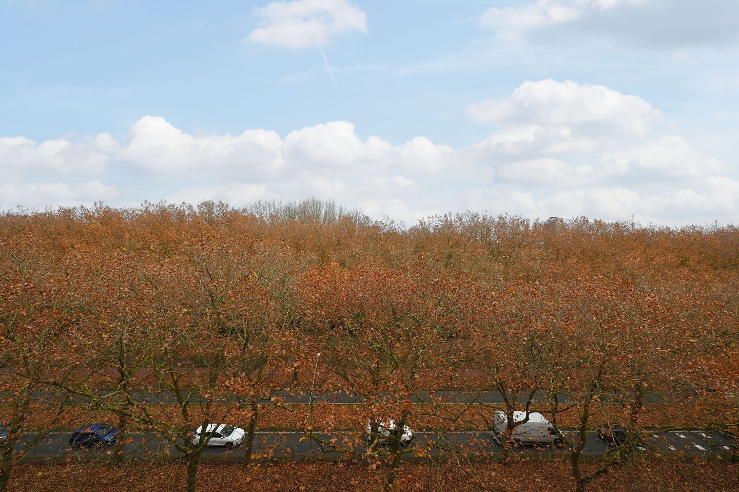 Foto 19 van Van Nijenrodeweg 528