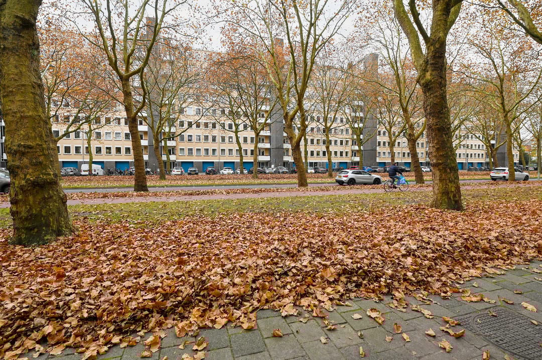 Foto 26 van Van Nijenrodeweg 528