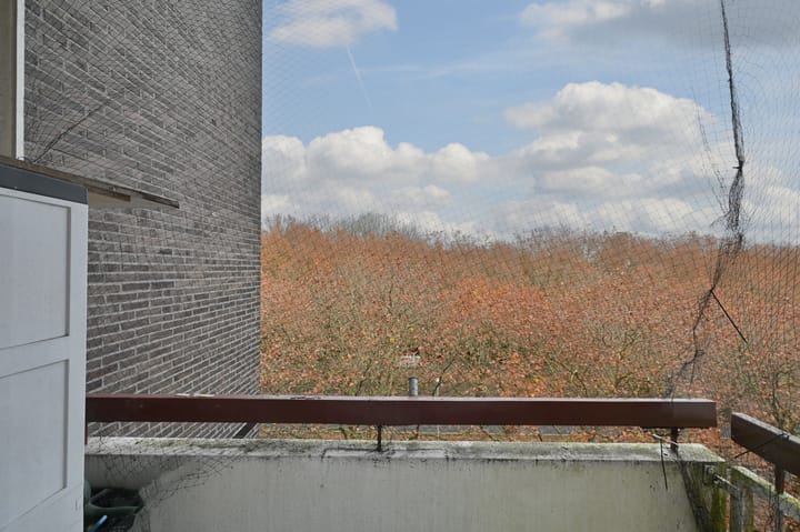 Photo 14 of Van Nijenrodeweg 528