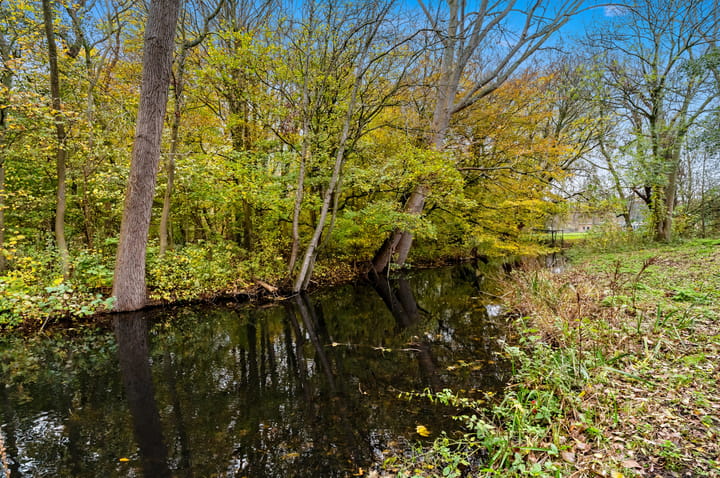 Foto 38 van Rodenbachstraat 29