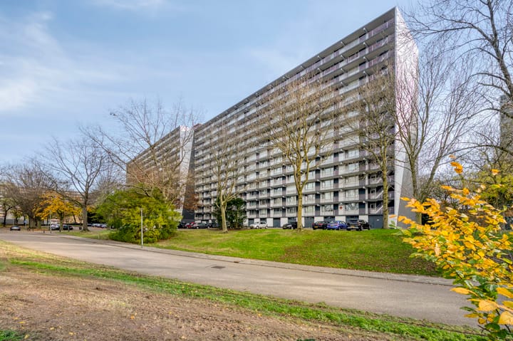 Henri Dunantstraat 299