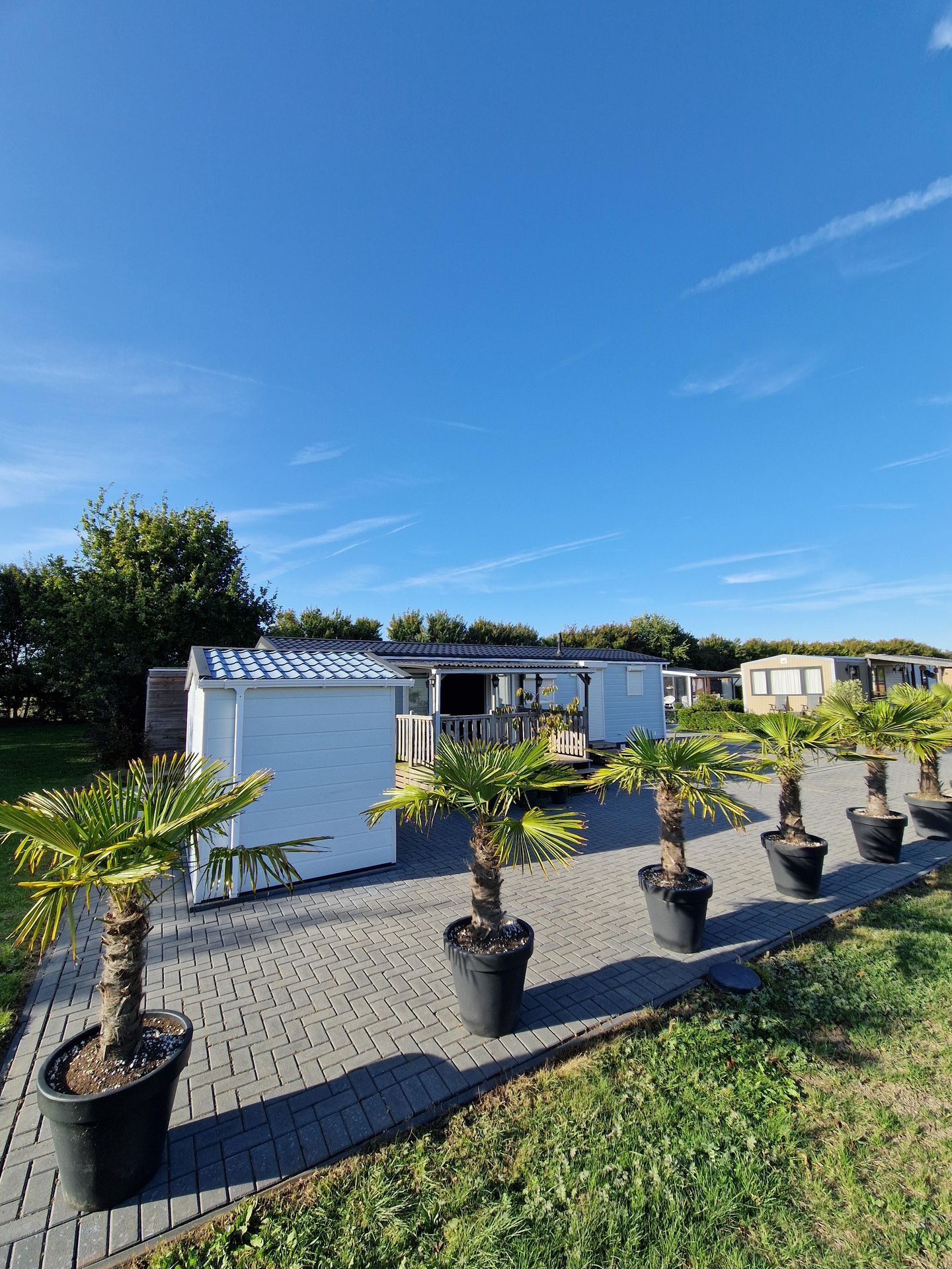 Foto 5 van Bollaarsdijk 5