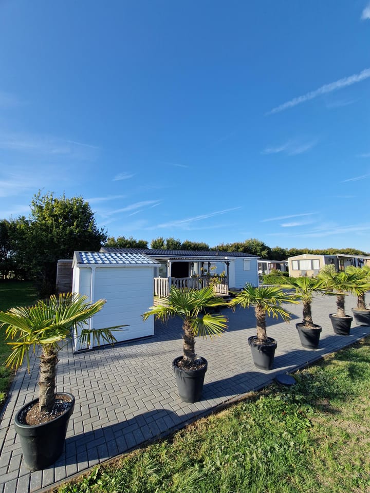 Foto 5 van Bollaarsdijk 5