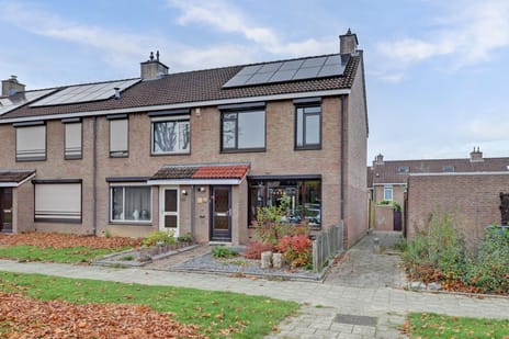 Fossielenerf thumbnail