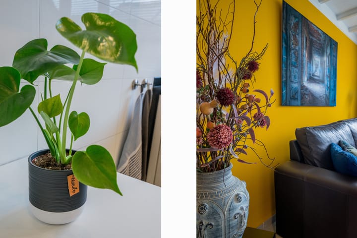 Foto 13 van Plataanstraat 37