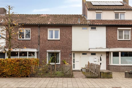 undefined main image