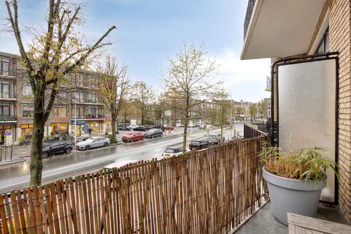 Foto 19 van Stadhoudersplantsoen 96