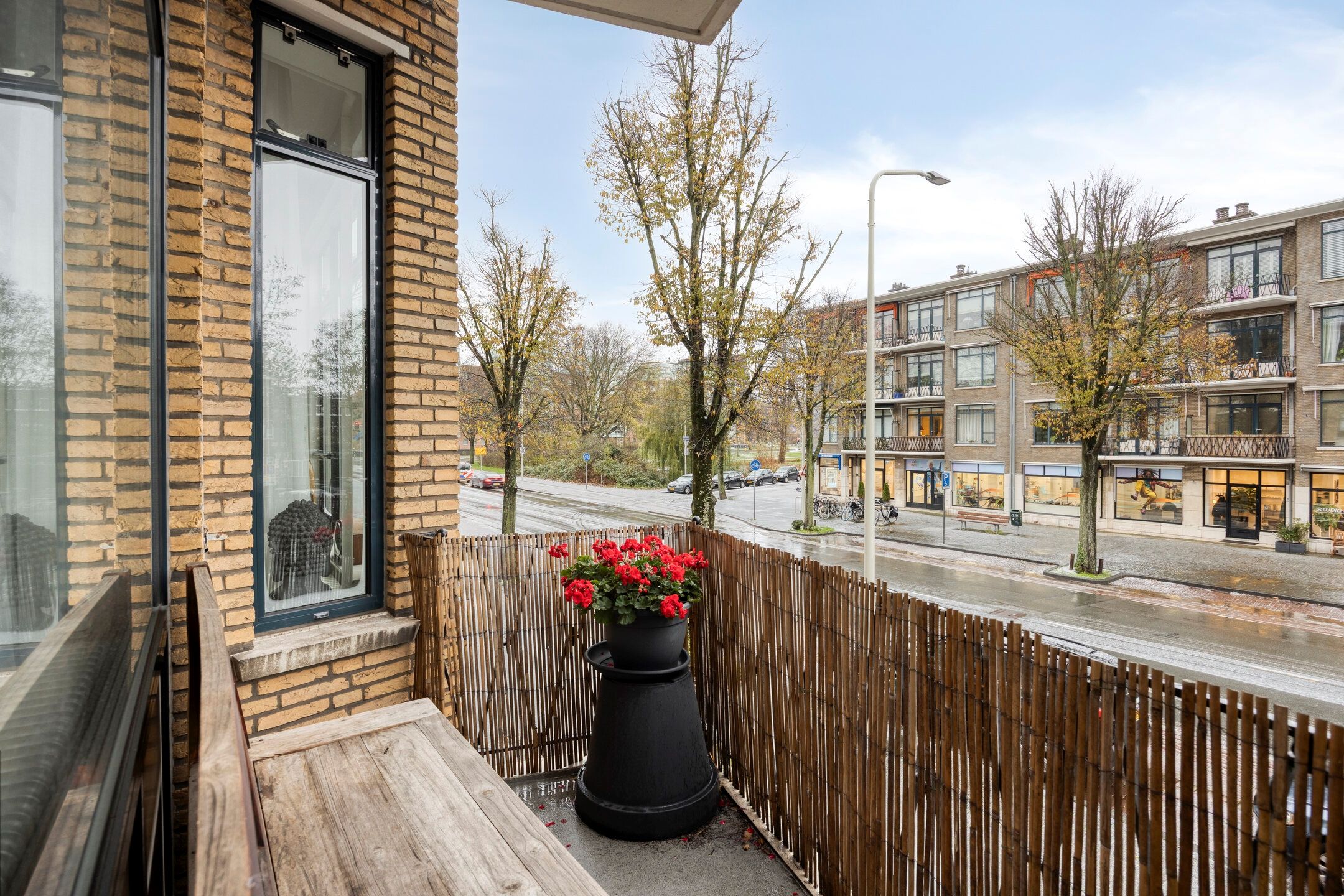 Foto 18 van Stadhoudersplantsoen 96