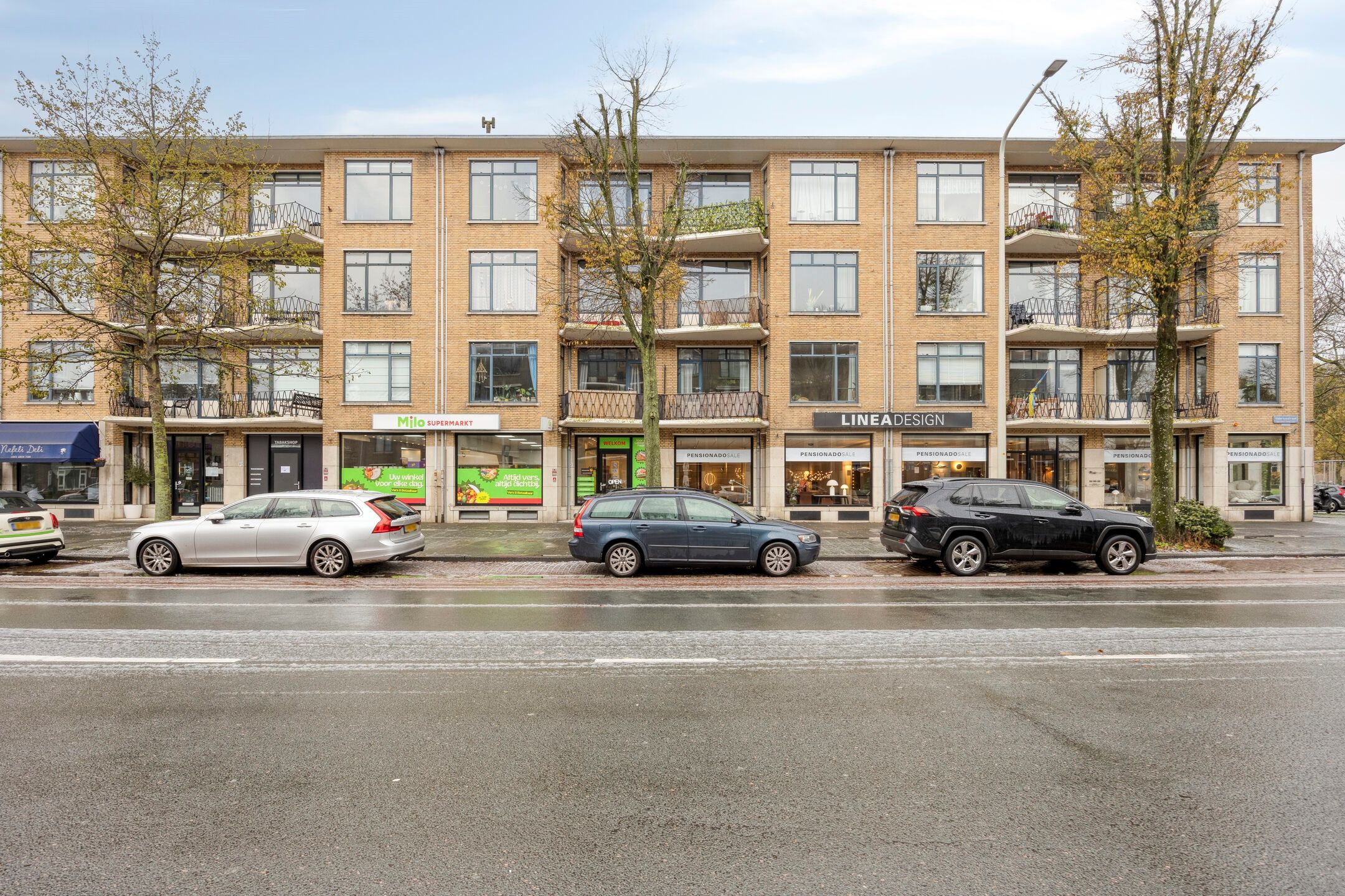 Foto 21 van Stadhoudersplantsoen 96