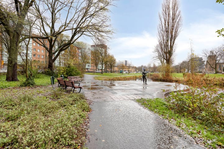 Foto 24 van Stadhoudersplantsoen 96