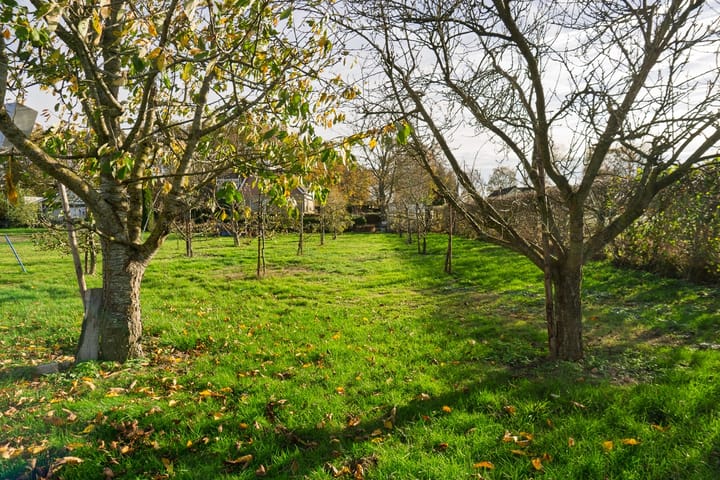 Foto 4 van Bergsebaan 83