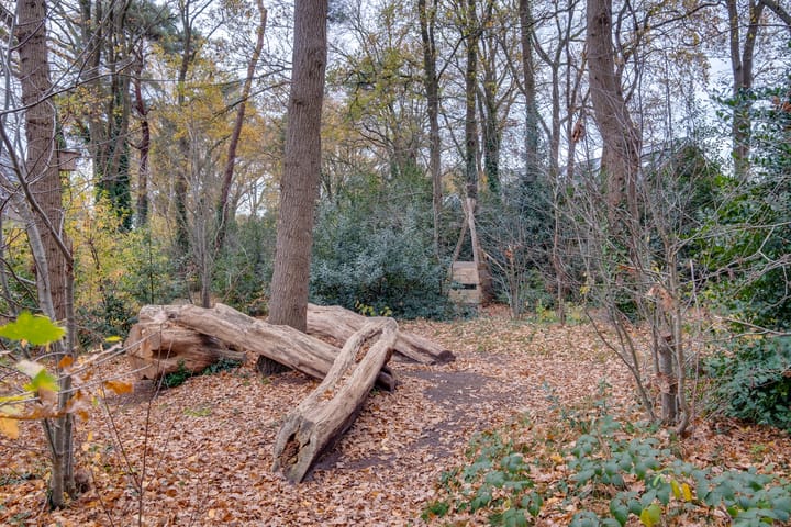 Photo 25 of Het Hazenveld 56