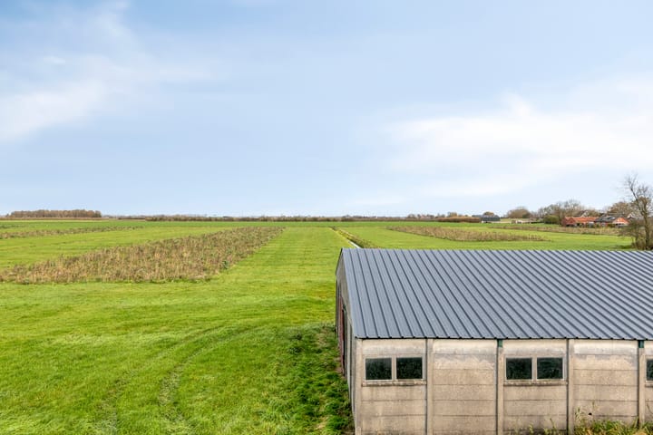 Photo 17 of Stadsedijk 16