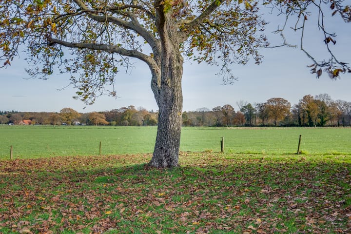 Photo 2 of Tusselersveenweg 1