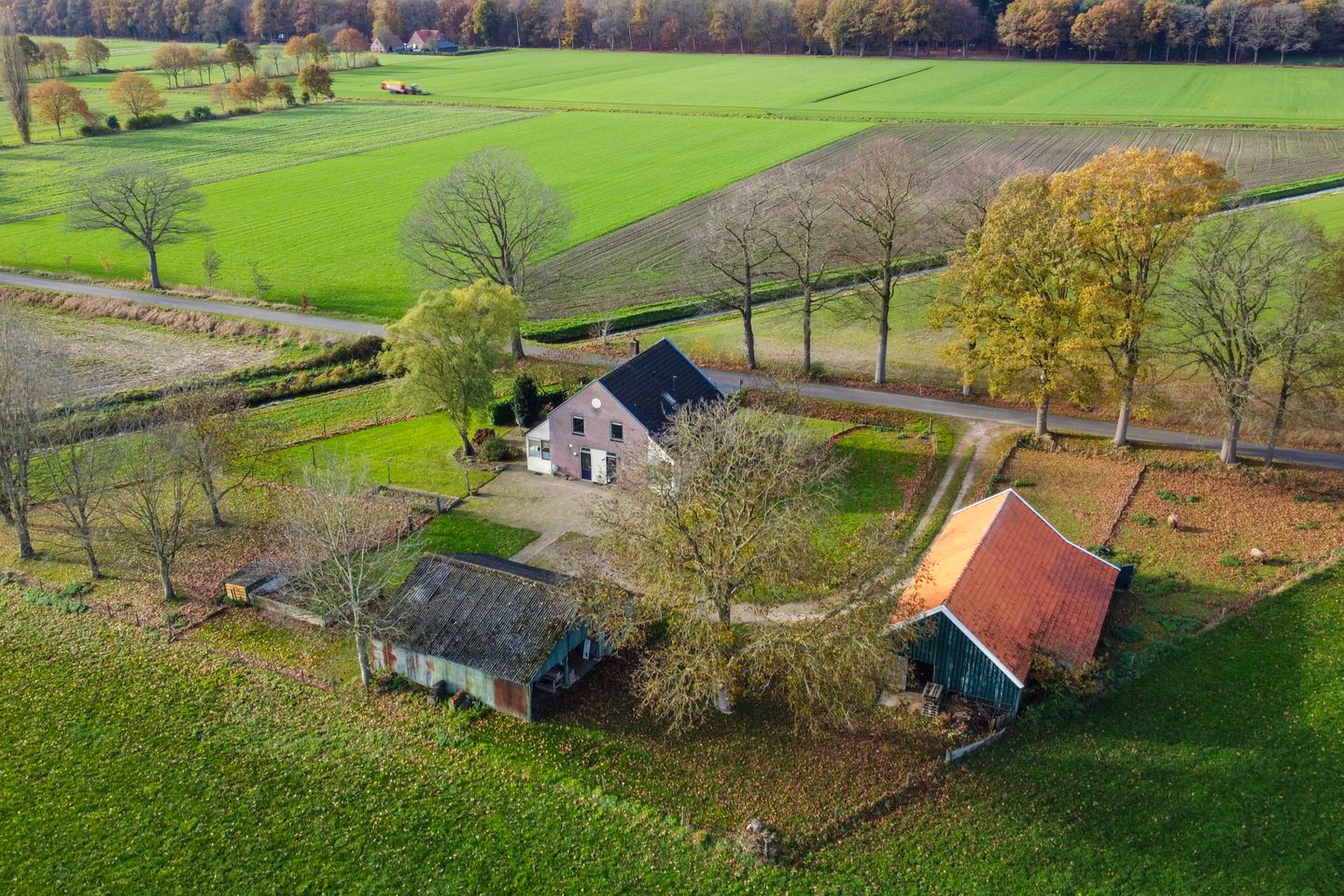 Foto 4 van Tusselersveenweg 1