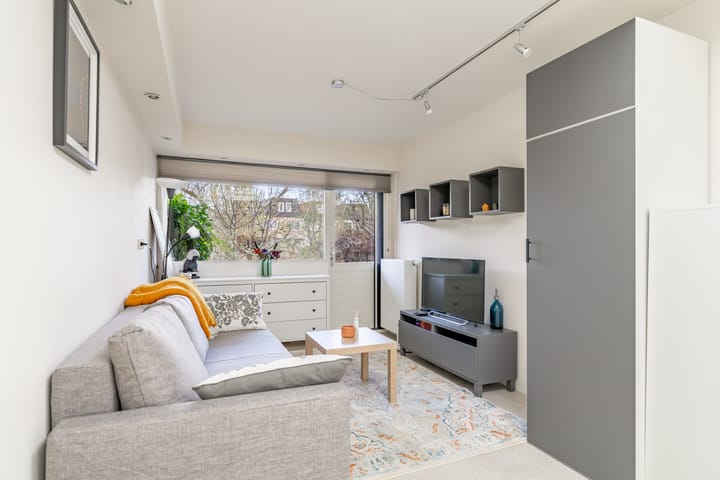 Photo 7 of Van den Berghlaan 461