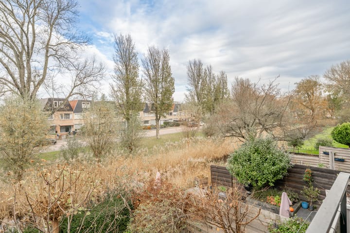 Photo 17 of Van den Berghlaan 461