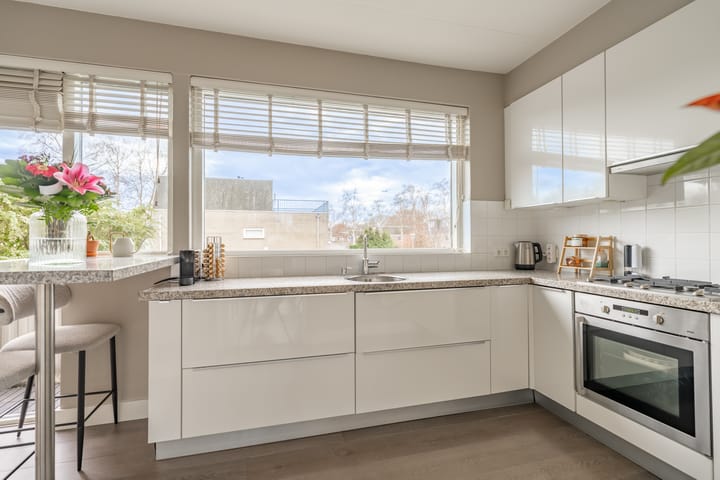 Photo 3 of Van den Berghlaan 461