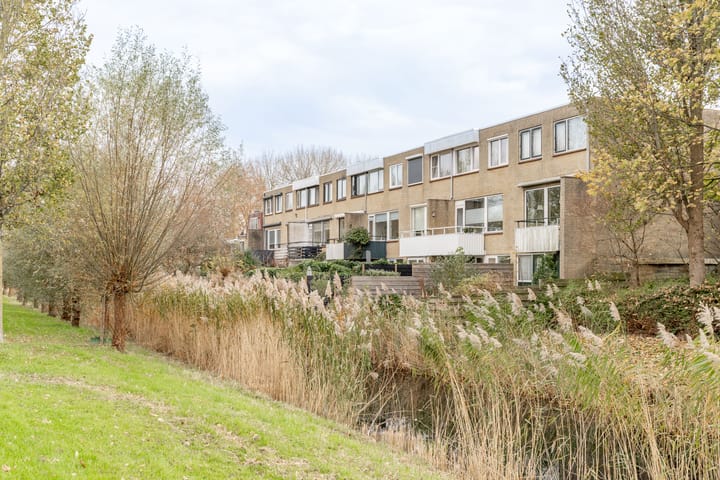 Photo 41 of Van den Berghlaan 461