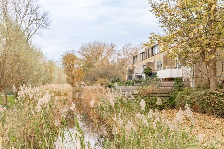 Photo 42 of Van den Berghlaan 461