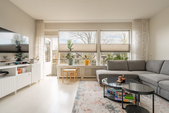 Photo 2 of Van den Berghlaan 461