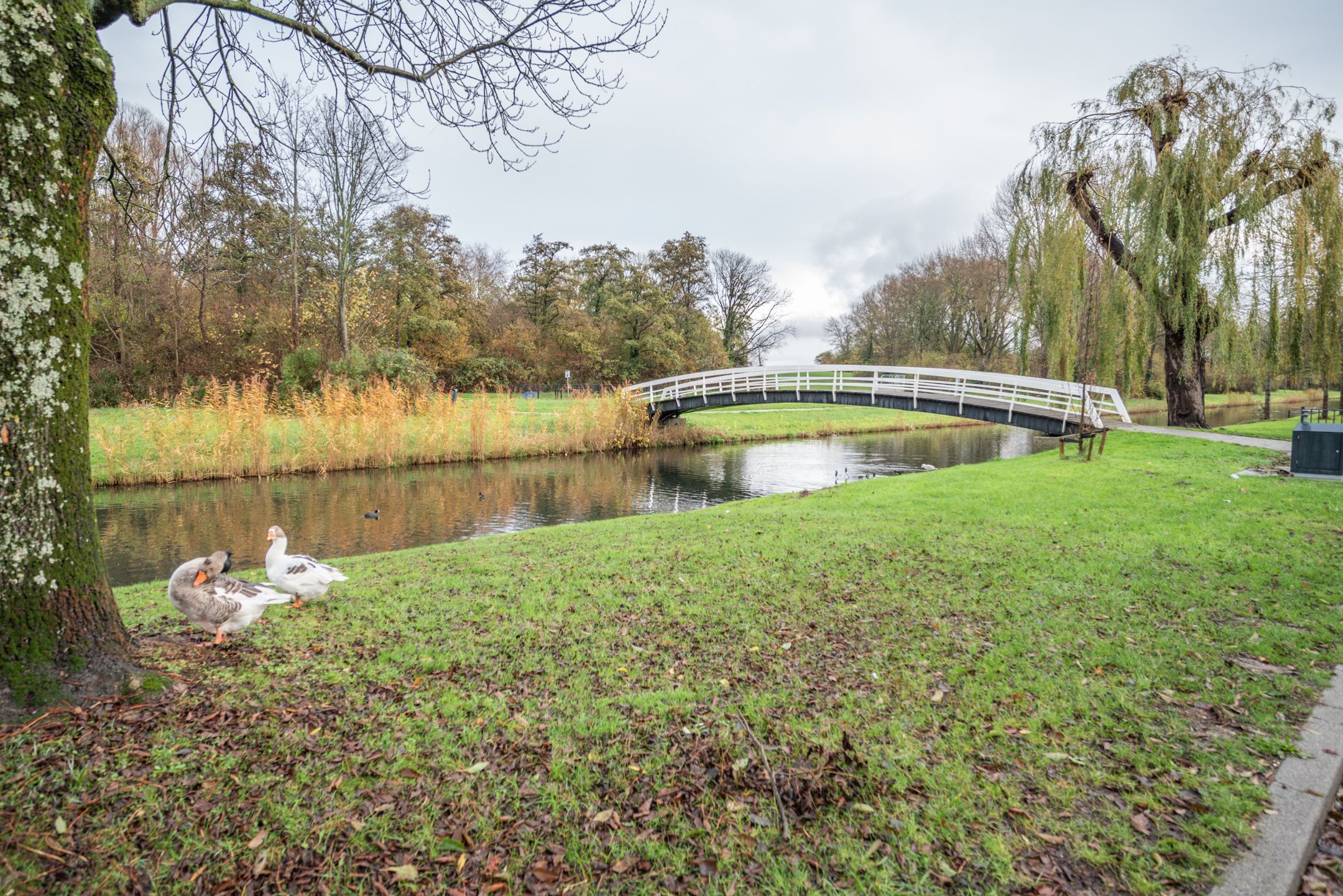 Foto 6 van Abelenlaan 73