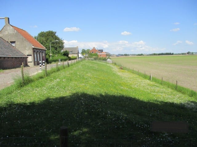 Foto 6 van Loonsedijk