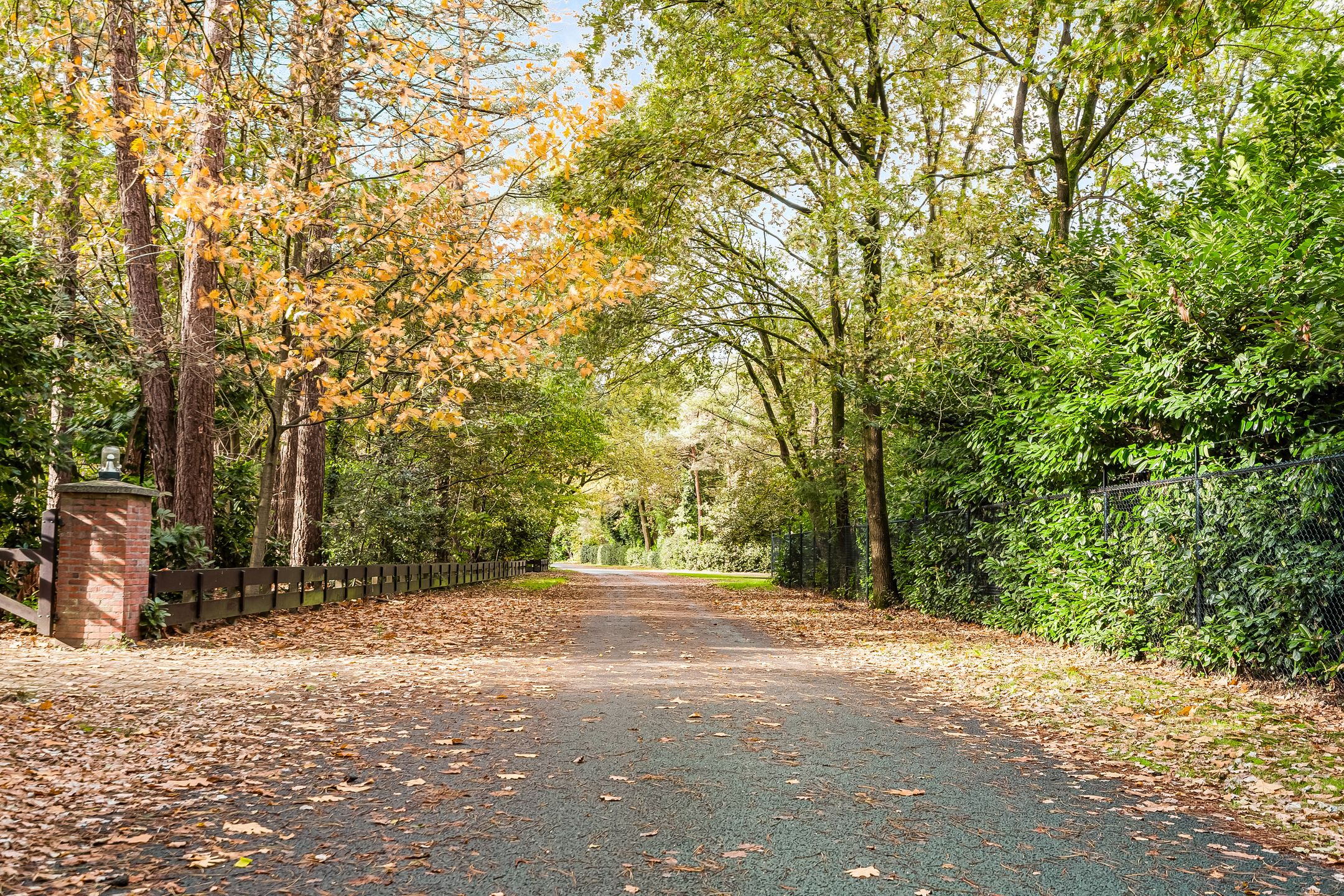 Foto 60 van Frederiksweg 18