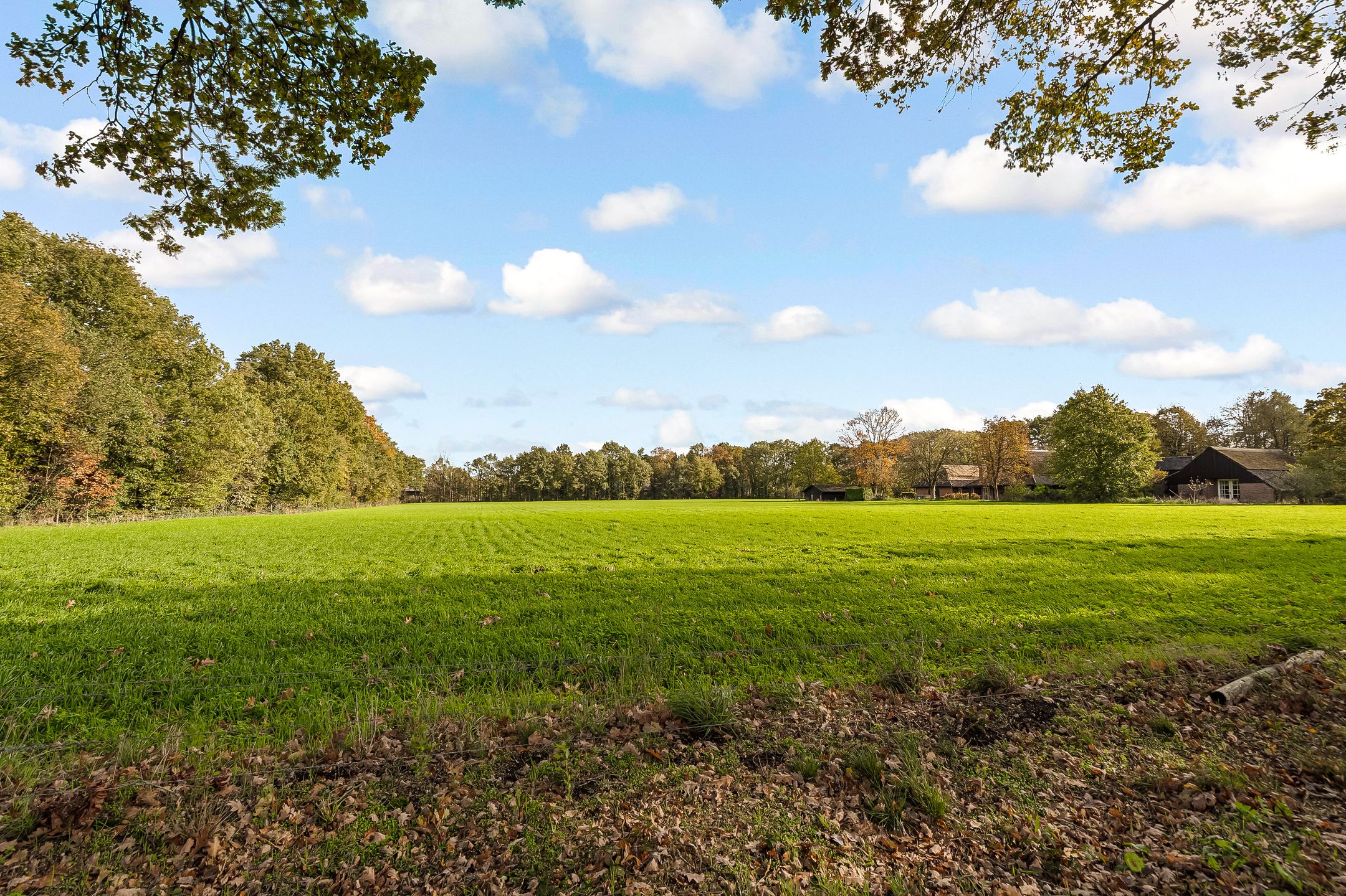 Foto 63 van Frederiksweg 18