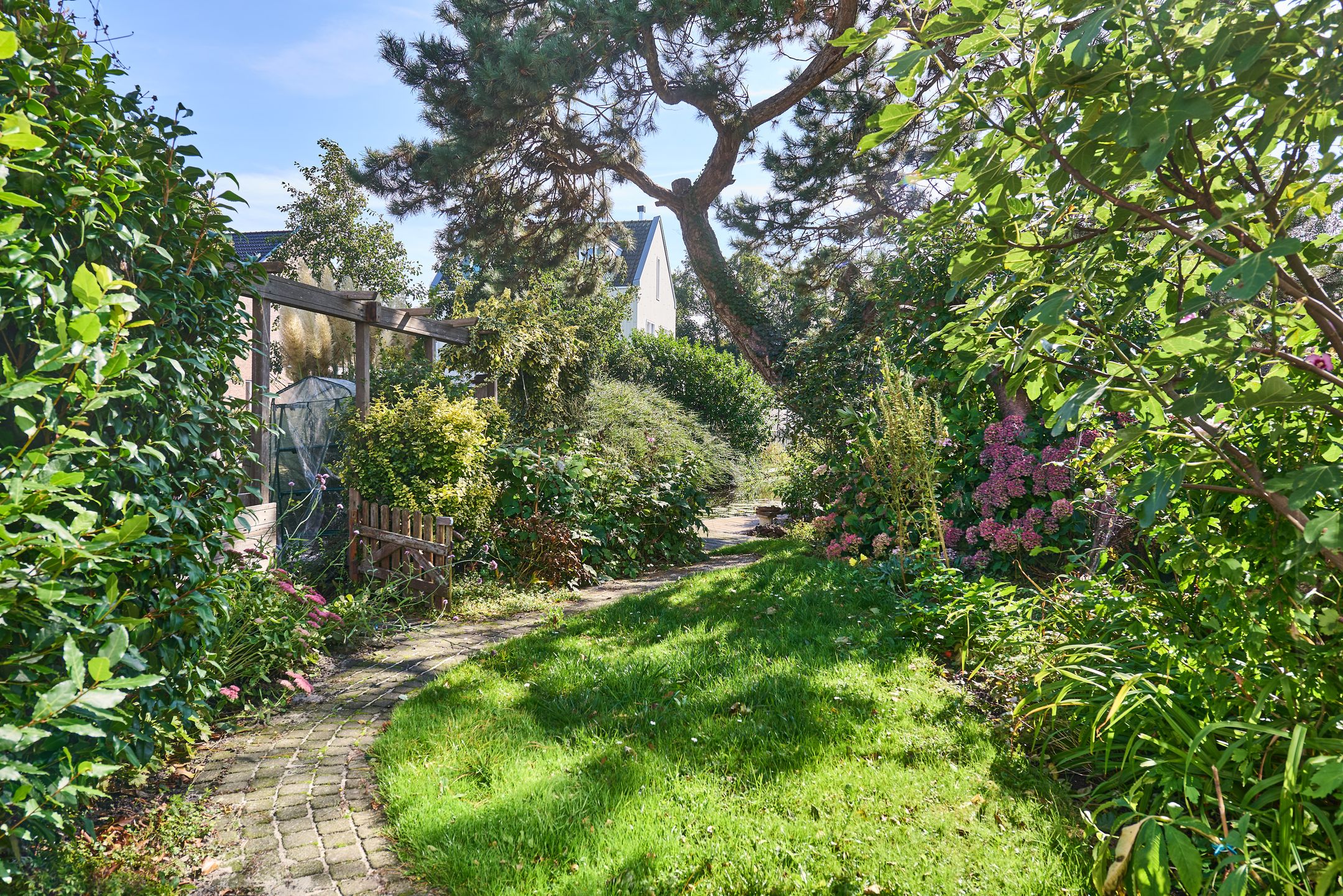 Foto 6 van Roerdompstraat 37