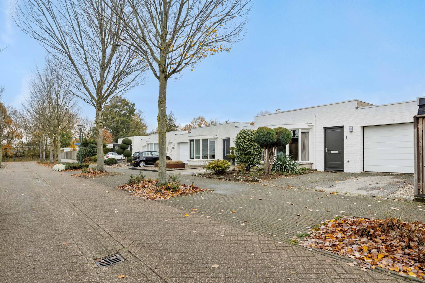 Foto 4 van Saffraanveld 1