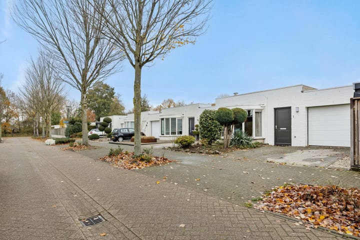 Foto 4 van Saffraanveld 1